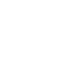 The Hondo Rodeo Fest Phoenix AZ